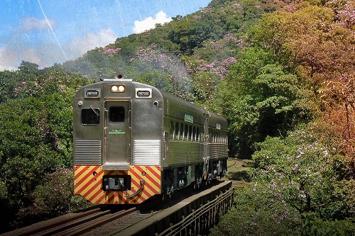 Passeio de Trem Curitiba a Morretes 