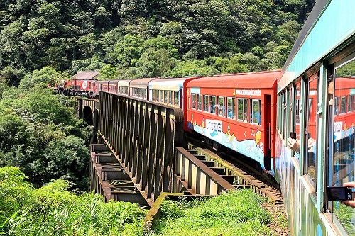 Passeio de Trem Morretes a Curitiba 
