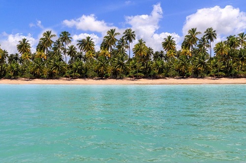 Passeio à Praia de Maragogi saindo de Recife